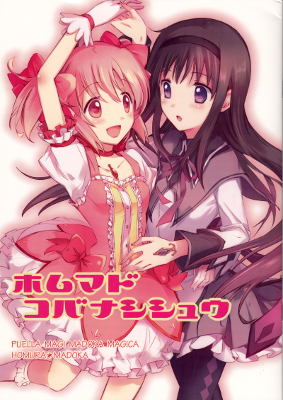 Mahou Shoujo Madoka★Magica - HomuMado Short Story Collection (Doujinshi)